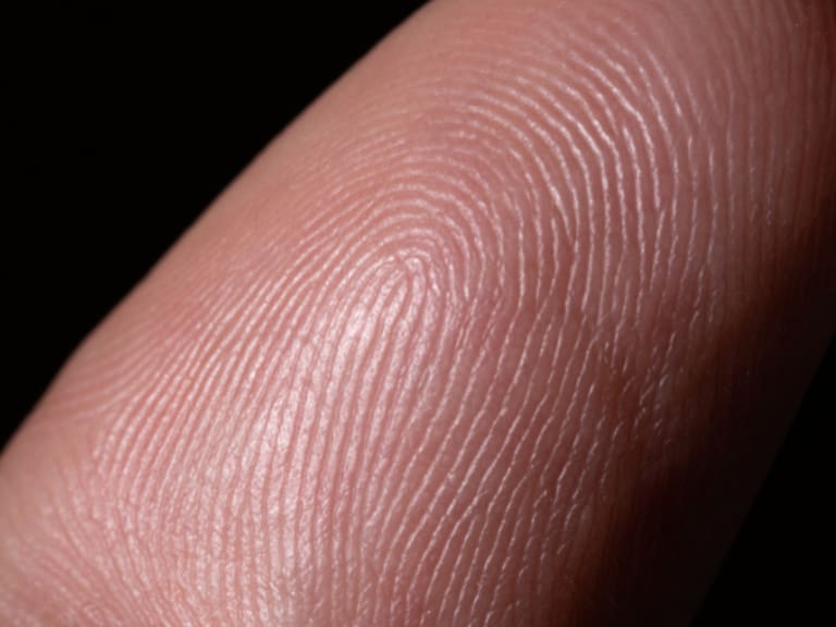 La CURP biométrica en Mérida incluye una fotografía digital y el mapeo de los diez dedos.