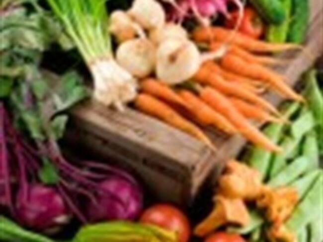 Medirán en Manzanillo radiactividad a alimentos japoneses