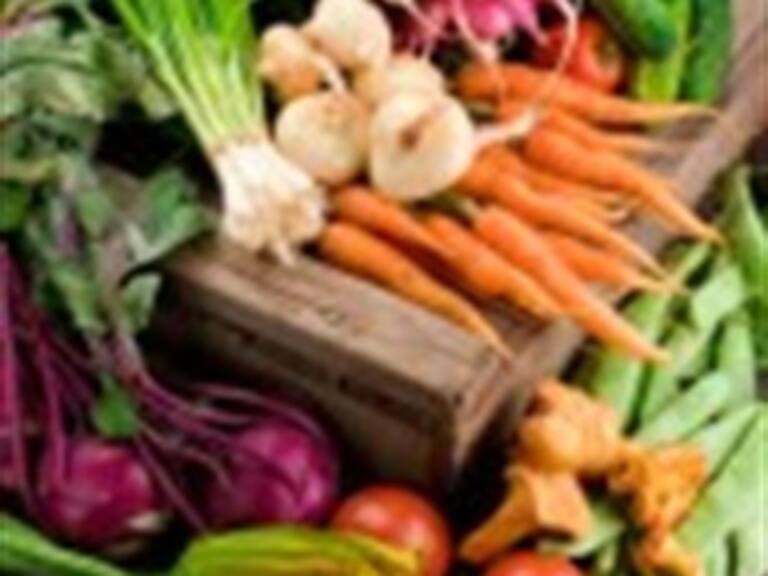 Medirán en Manzanillo radiactividad a alimentos japoneses