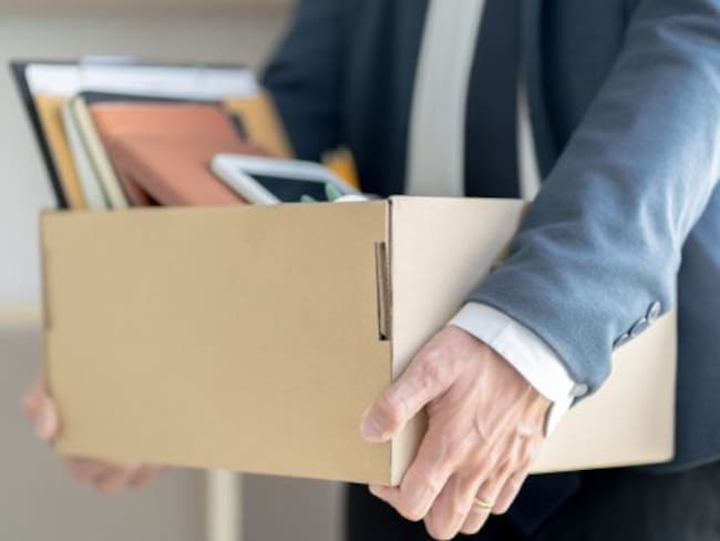 Registra empleo formal caída récord durante el 2024