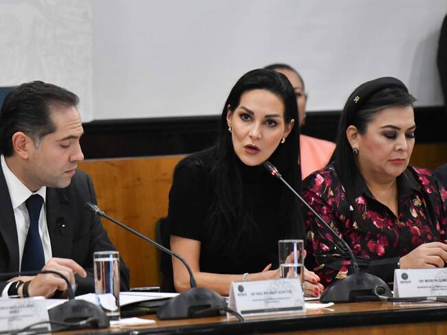 Se podrá ajustar presupuesto para apoyar a migrantes: Merilyn Gómez,