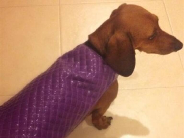 En 'Triple W' también tienen perro que les ladre