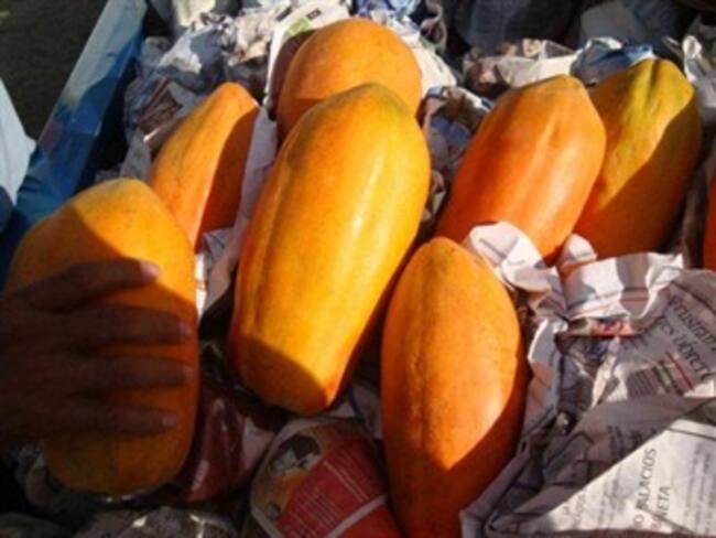 Prematuro, que papaya mexicana llevó salmonella a EU: Senasica