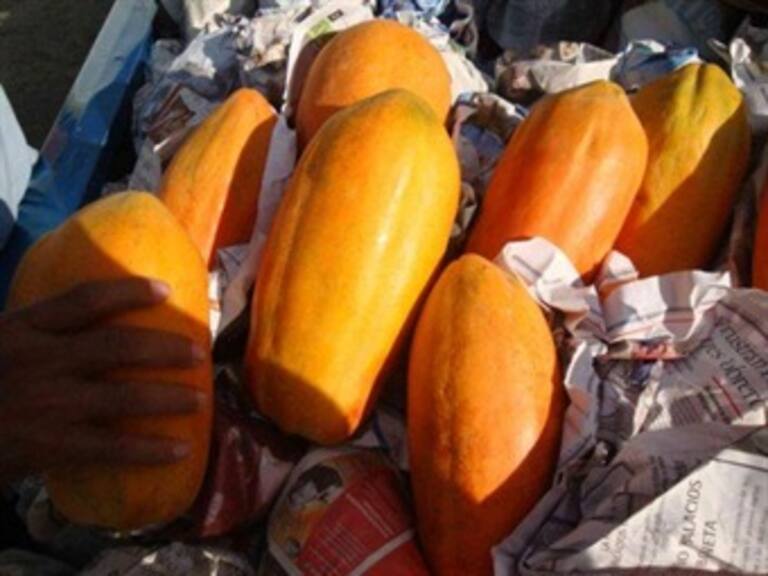 Prematuro, que papaya mexicana llevó salmonella a EU: Senasica