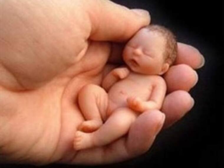 El aborto en España no será permitido para todos: Joan Cerezo