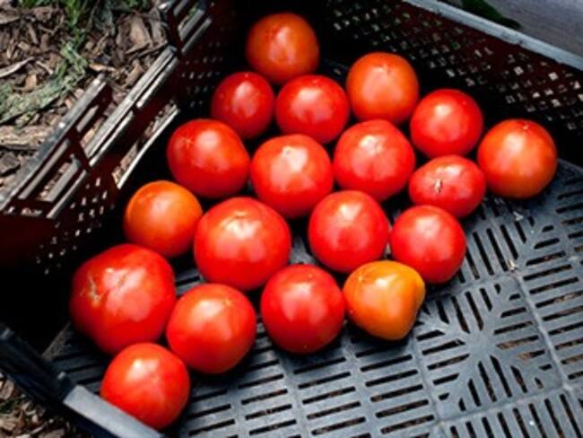 Vive un millón de californianos en 'desiertos alimenticios'