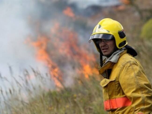 México conmemorará a los brigadistas el 11 de julio: Conafor