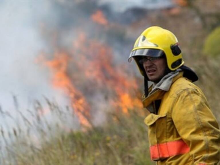 México conmemorará a los brigadistas el 11 de julio: Conafor