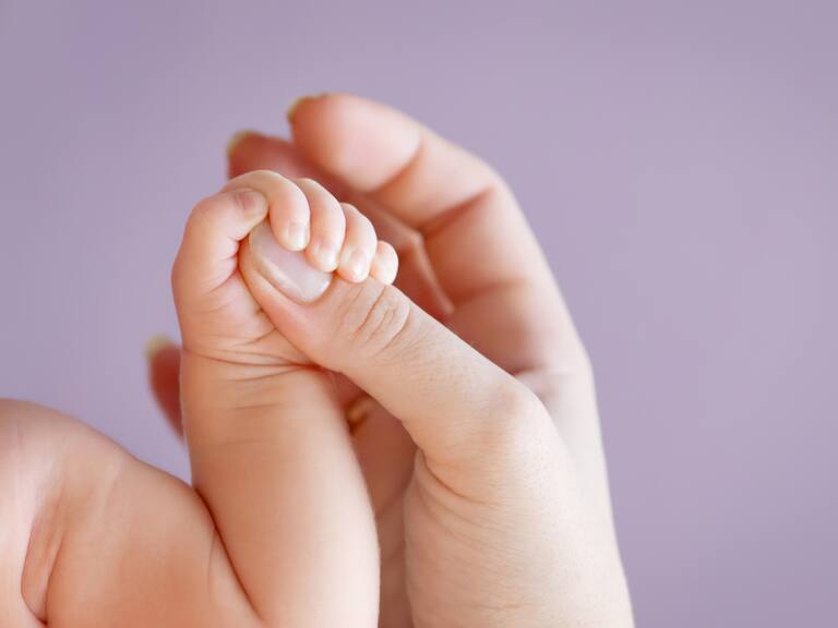 La Tarjeta Violeta Bienestar es un programa del gobierno de México dirigido a madres solteras en situación de vulnerabilidad.