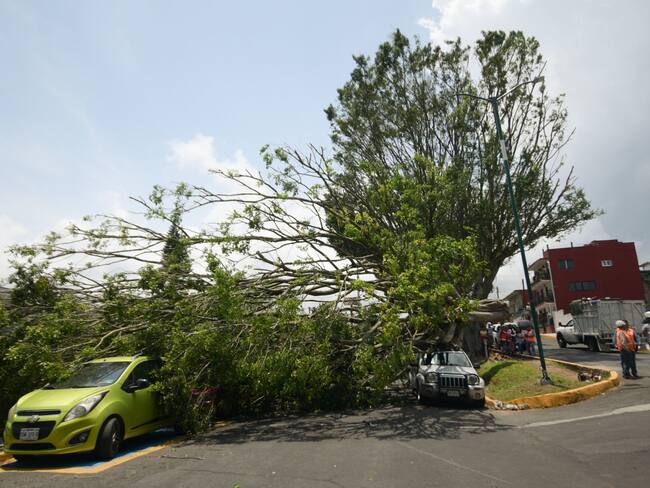 Activan alerta amarilla en CDMX por fuertes vientos