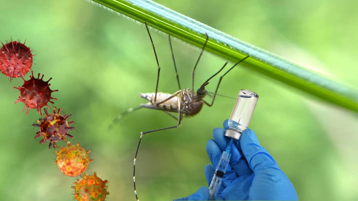 Nueva vacuna contra el dengue en México: Precio, cómo funciona y quiénes podrán aplicársela