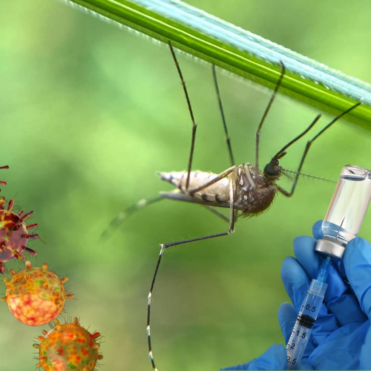 Nueva vacuna contra el dengue en México: Precio, cómo funciona y quiénes podrán aplicársela
