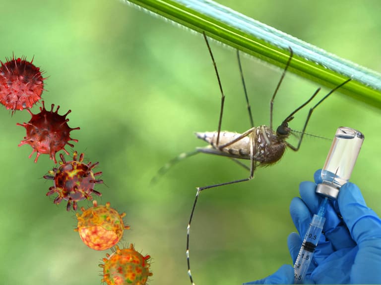 Vacuna contra el dengue