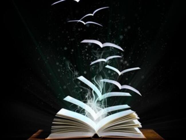 "Un libro es una caja de herramientas": Rafael Perez