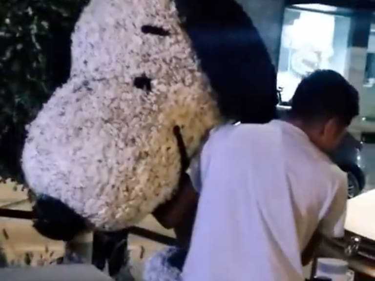 Robaron una escultura floral de Snoopy, el popular personaje de las tiras cómicas Peanuts, en Polanco, CDMX.