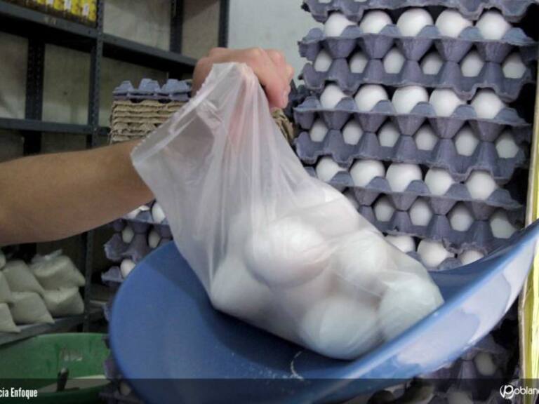 Llama Seder a denunciar a comerciantes que excedan el precio del huevo