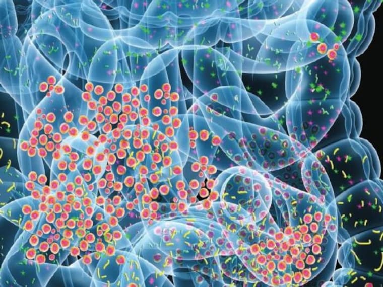 ¿Qué onda con los microbios en nuestro cuerpo?