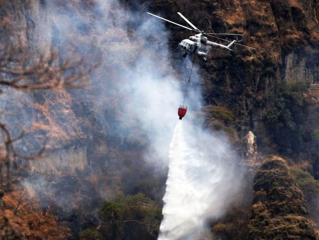 Suman ya 91 incendios forestales en el país: Conafor