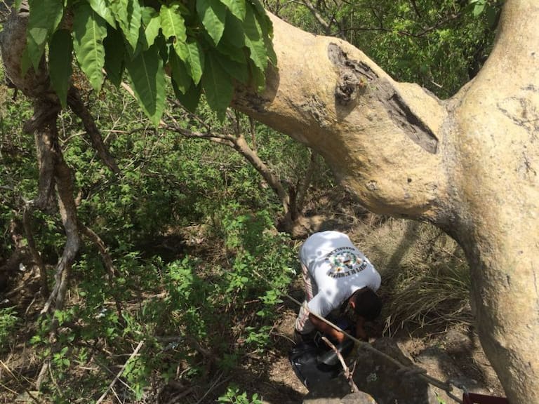 Encuentran cadáver de un hombre debajo de un árbol en Guadalajara