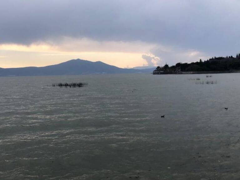 Alertan avistamiento de cocodrilos en el Lago de Chapala