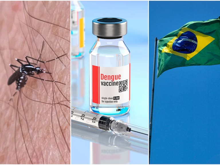 Brasil aprueba la única vacuna contra el dengue de una dosis que anunció en febrero de 2025.