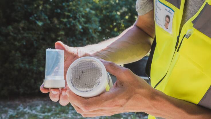 Plan Anual contra el Dengue 2025: Secretaría de Salud presenta plan para evitar riesgos ante esta enfermedad