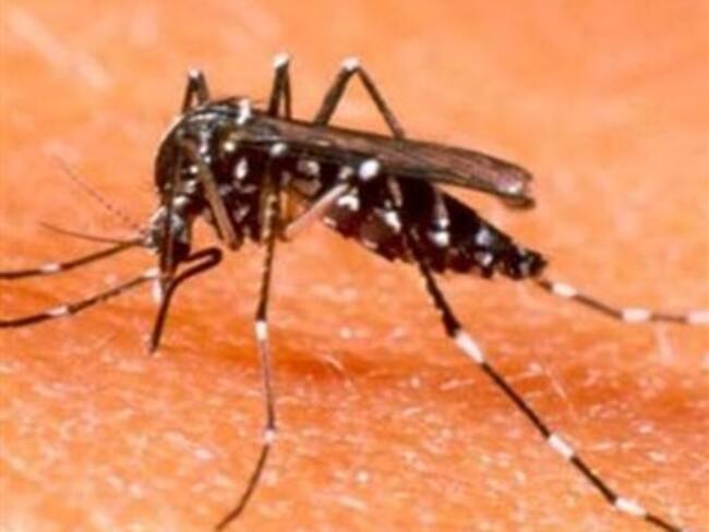 Dengue: muertes en Rio de Janeiro se multiplican por 3,5 en 2011