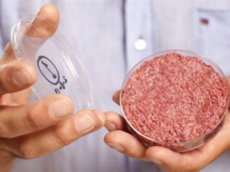 Crean primera hamburguesa de carne cultivada y fabricada a partir de células madre
