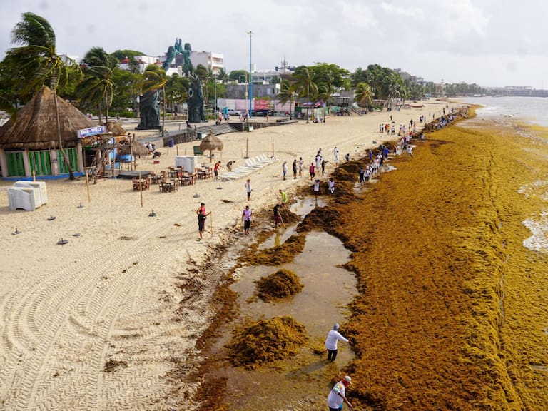 Emergencia climática FOTO: ELIZABETH RUIZ/CUARTOSCURO.COM