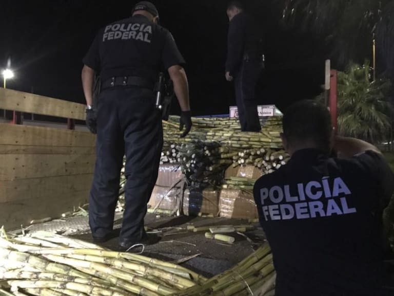 Aseguran más de 300 kilos de marihuana en Tepatitlán de Morelos