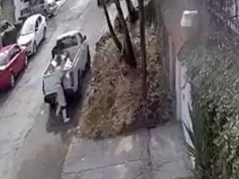 Autoridades de la CDMX investigan a un hombre que abandonó bolsas con pollo podrido en calles de Tlalpan. X-@TlalpanVecinos