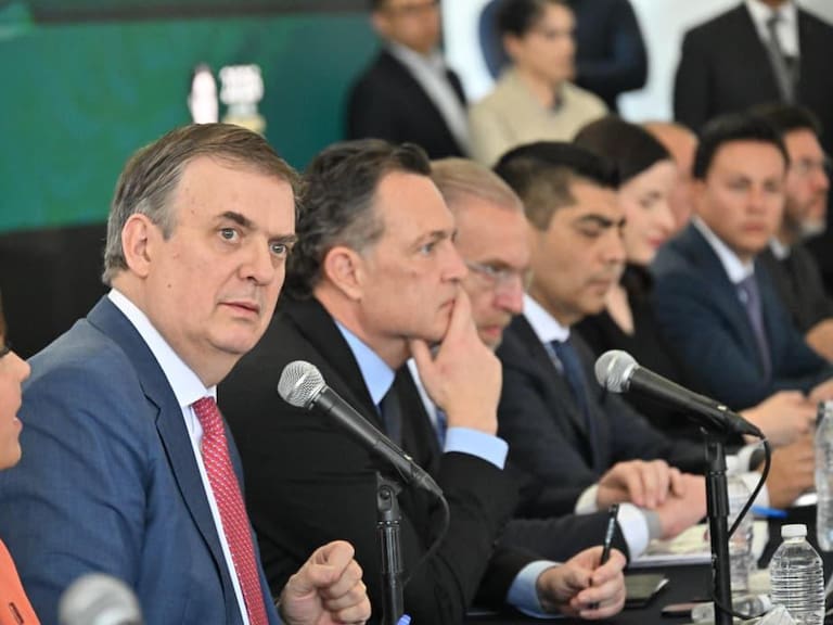 Marcelo Ebrard, secretario de Economía