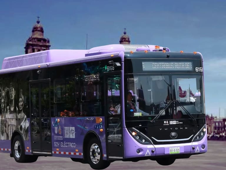 ¿Quiénes viajan gratis en el Centrobús?. FB