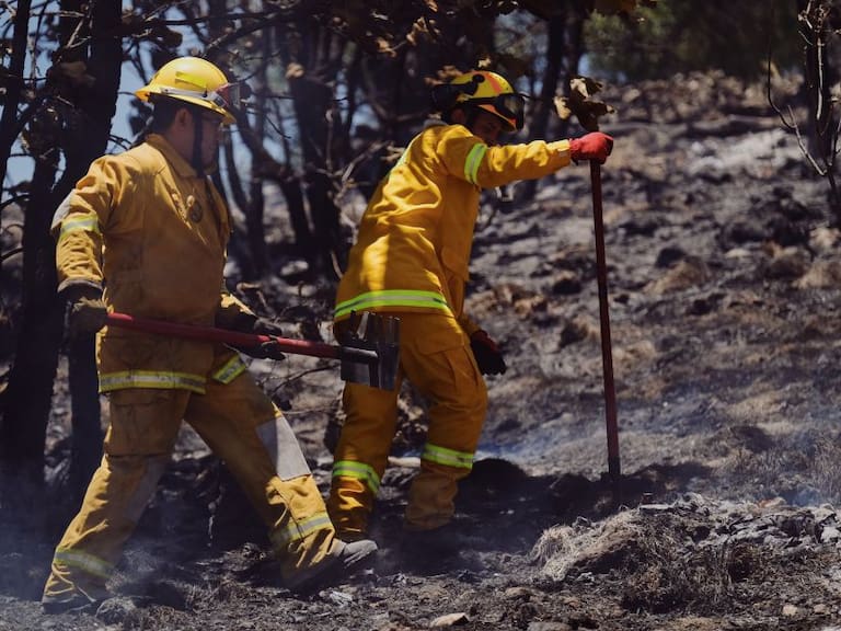 Afectadas mil 900 hectáreas por incendio en La Primavera