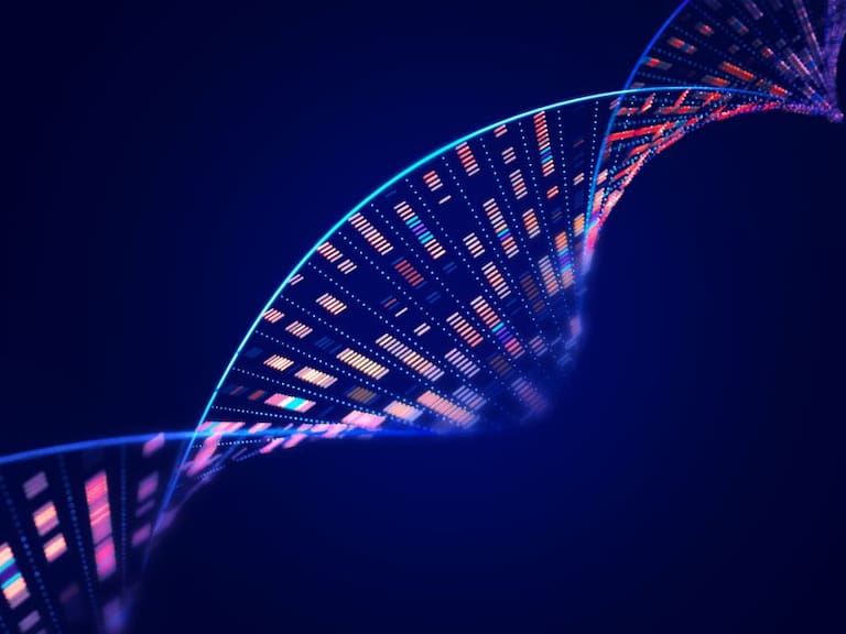 Los seres humanos podemos parecer diferentes, pero el 99% de nuestro ADN es el mismo