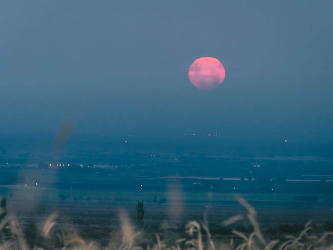 ¿A qué hora ver la Luna Rosa 2026 en México? Esto debes saber