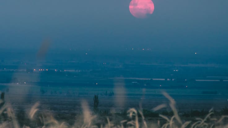¿A qué hora ver la Luna Rosa 2026 en México? Esto debes saber