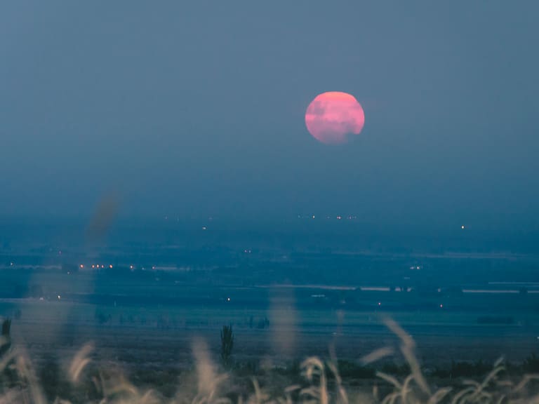 Mx - Luna Rosa, cómo verla en México