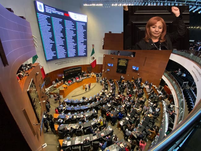 Repite Rosario Piedra en la CNDH