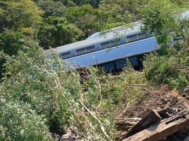 Tren Interoceánico se descarrila con 250 pasajeros en Oaxaca