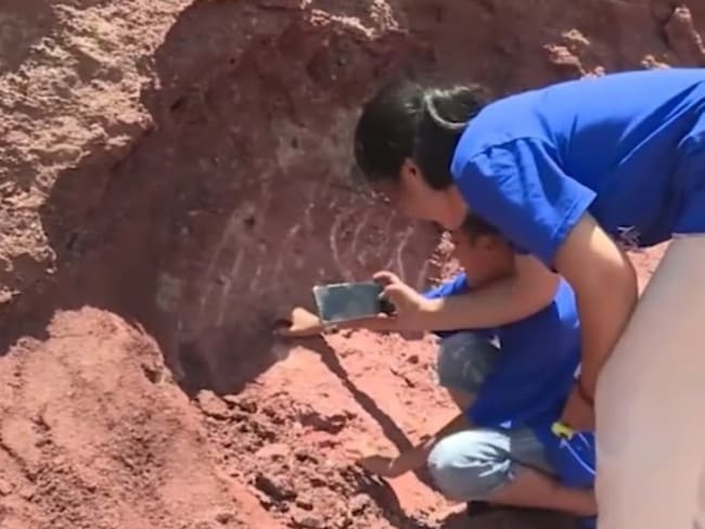 Niño descubre huevos de dinosaurio de hace 65 millones de años