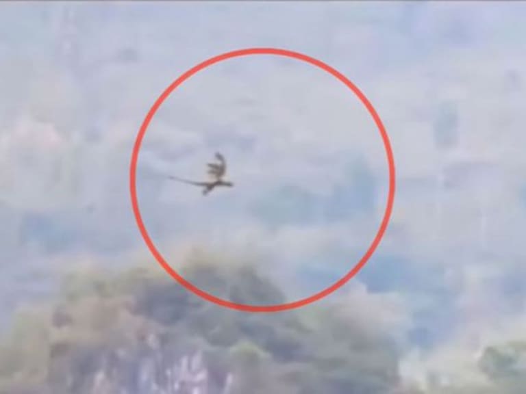 Video muestra a supuesto dragón volando en China