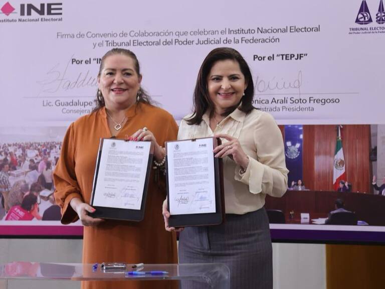 OEA enviará misión de observadores para las elecciones presidenciales