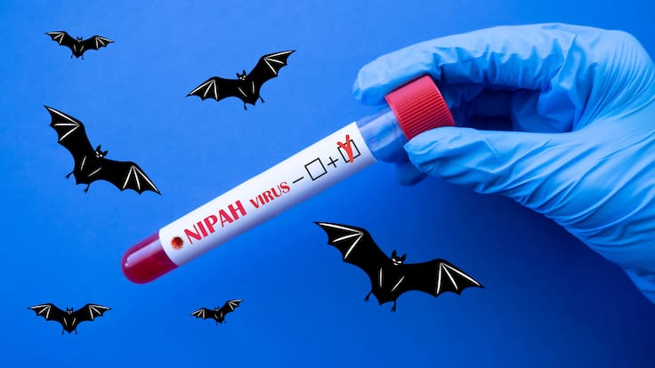 Virus ‘Nipah’: ¿Por qué se considera una posible pandemia gracias a esta enfermedad?