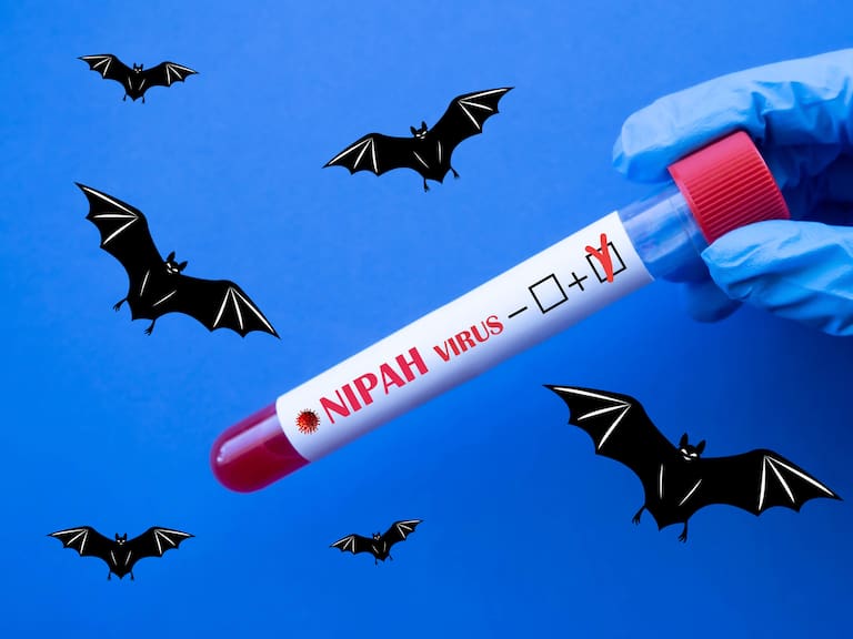 Nipah Virus pandemia