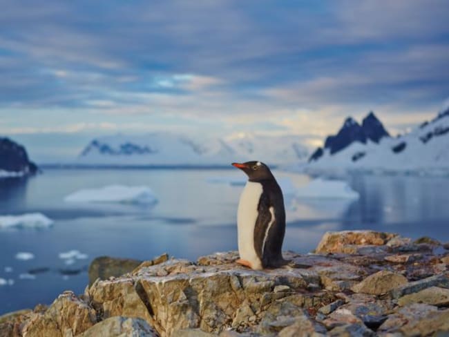 Del calentamiento global, la Antártida y… ¿el fin del mundo?