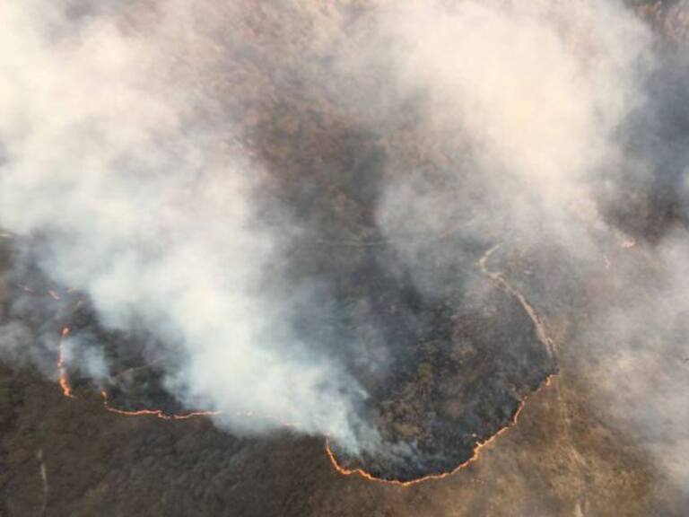 Difícilmente podrán encontrar al culpable del incendio en el cerro del Tepopote: PROFEPA