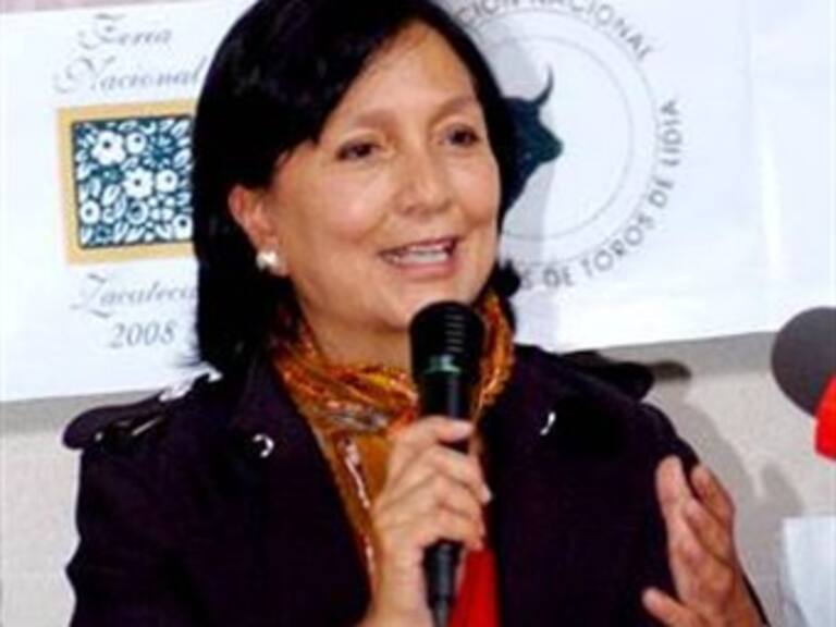 Detectan irregularidades en la administración de Amalia García