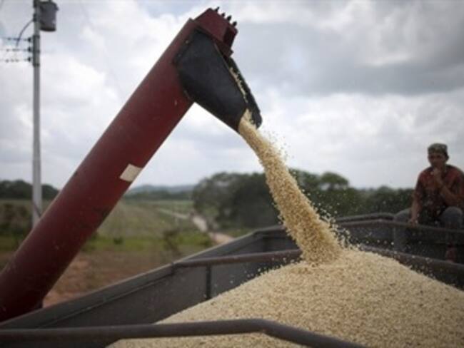 Acciones de Gruma serán incluidas en Índice Morgan Stanley. Momento Corporativo con Roberto Aguilar