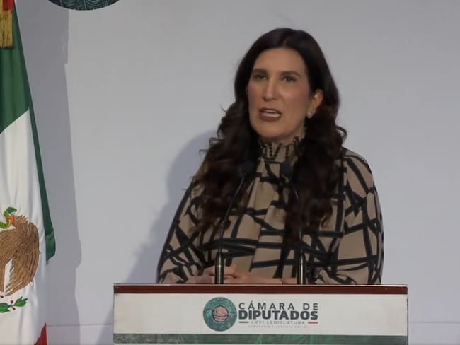Diputados atiende el llamado de Sheinbaum a solidarse con los mexicanos agredidos en Estados Unidos: López Rabadán